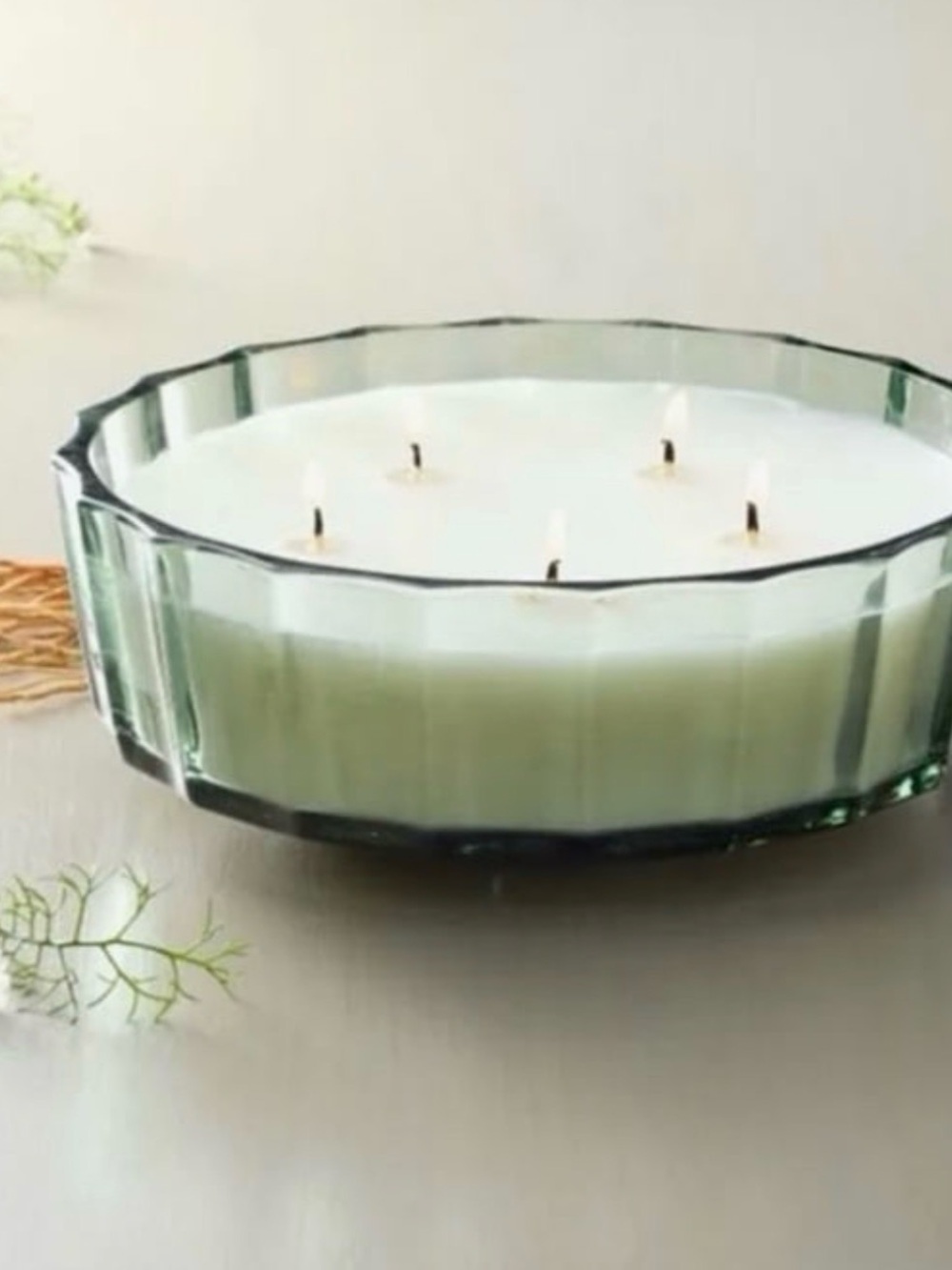 5 Wick Colored Glass Faceted Lemon & Cedar Jar Candle - Hearth & Hand Magnolia
